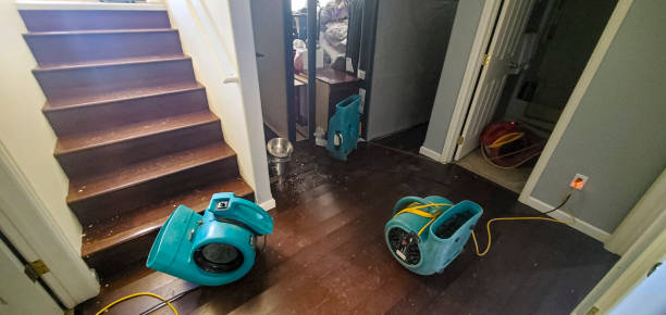  Garden Ridge, TX Water damage restoration Pros