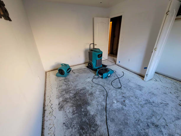Best Flood damage cleanup  in Garden Ridge, TX