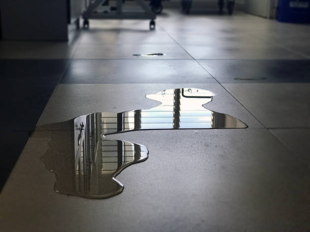 Best 24-hour water damage restoration  in Garden Ridge, TX