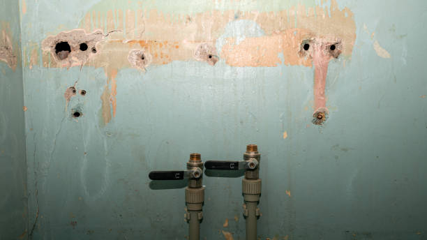 Best Professional water damage repair  in Garden Ridge, TX