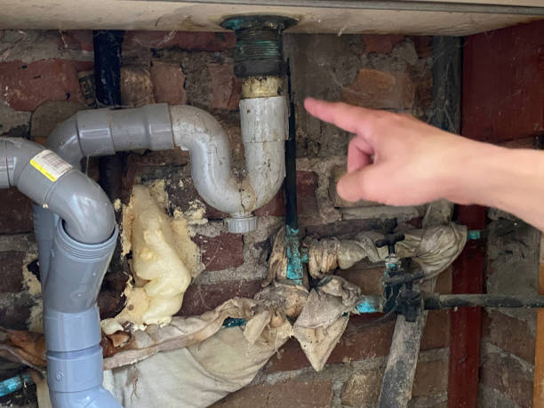 Best Local water damage restoration  in Garden Ridge, TX