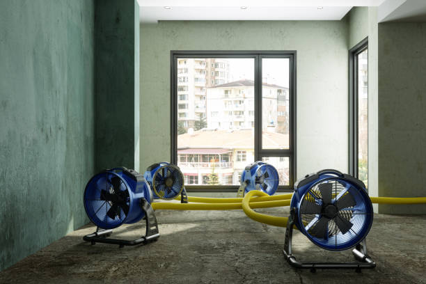 Best Residential water damage restoration  in Garden Ridge, TX